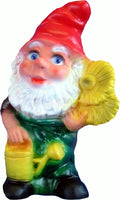 Zwerg    Blume