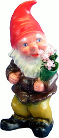 Zwerg    Blumen