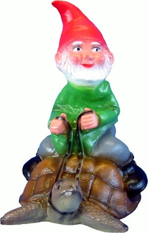 Zwerg    Schildkröte