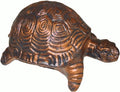 Teichschildkröte kupferfarben