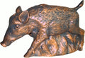 Wildschwein kupferfarben