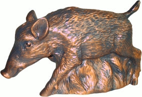 Wildschwein kupferfarben