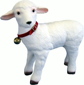 Schäfchen stehend