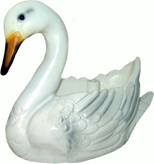 Pflanzschwan