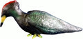 Woodpecker