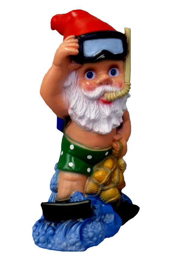 Zwerg Taucher