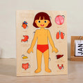 Montessori Holzpuzzle Menschlicher Körper – Organe & Körperteile kennenlernen (ab 3 Jahre)