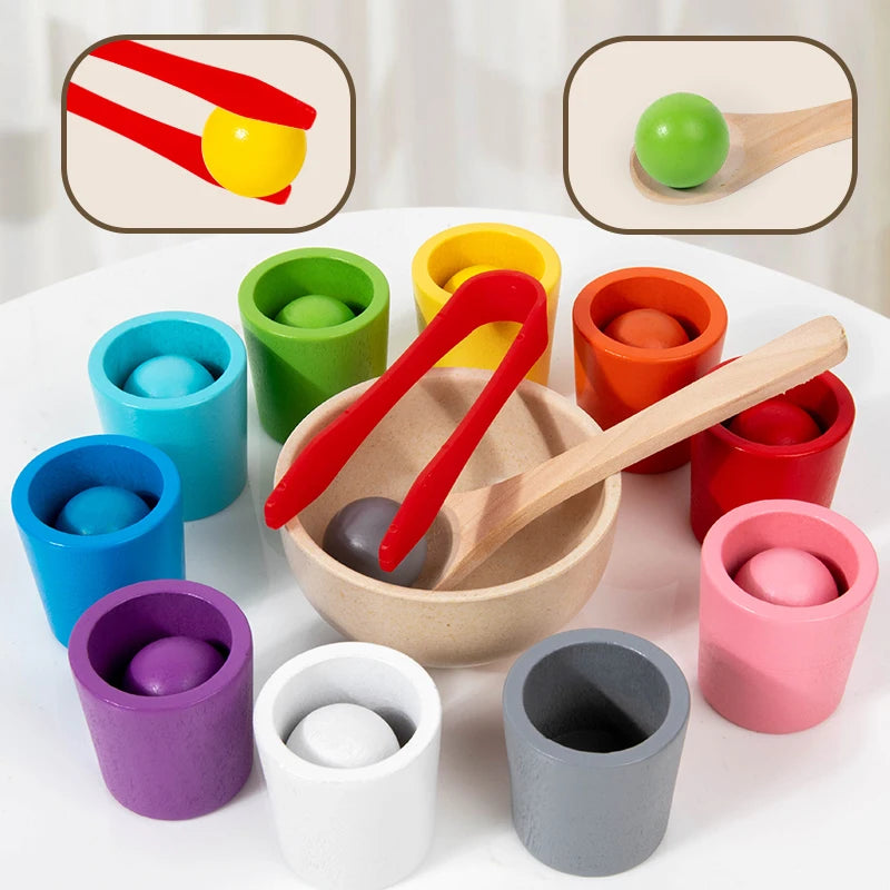 Montessori Holz-Farbsortierspiel mit Bechern & Perlen – Kognitives Lernspielzeug für Kinder ab 3 Jahren