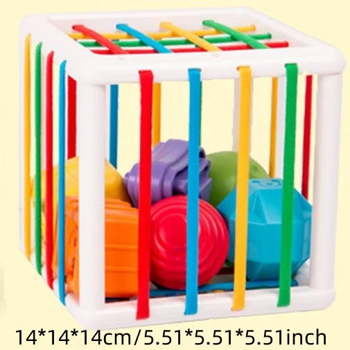 Montessori Regenbogen Greifspielzeug – Sensorisches Frühförderungs-Spielzeug für Babys (0–12 Monate)