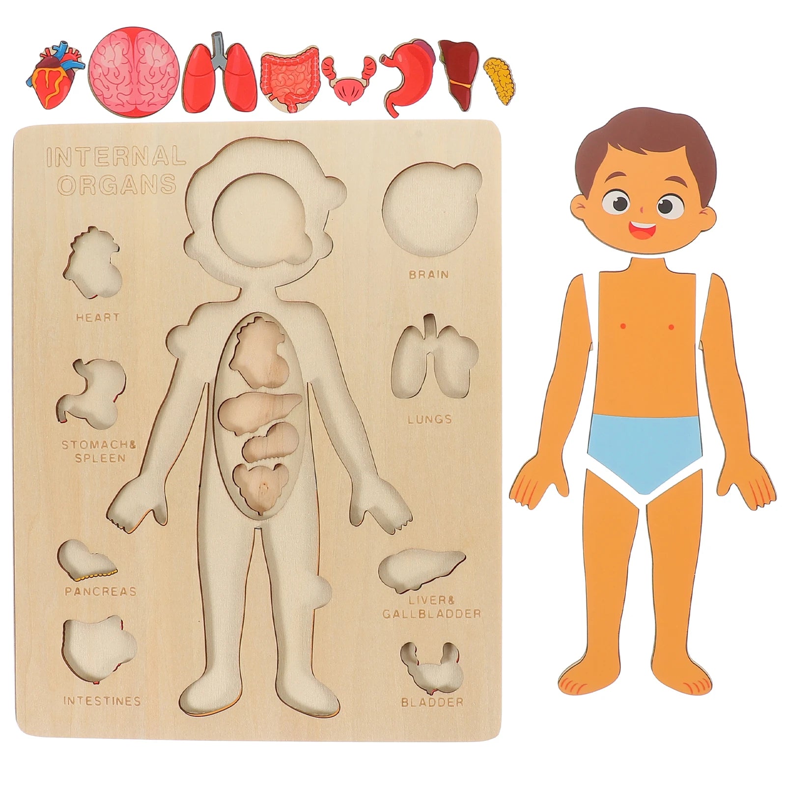 Montessori Holzpuzzle Menschlicher Körper – Organe & Körperteile kennenlernen (ab 3 Jahre)